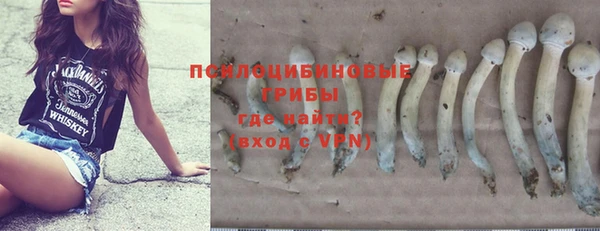 дмт Алзамай