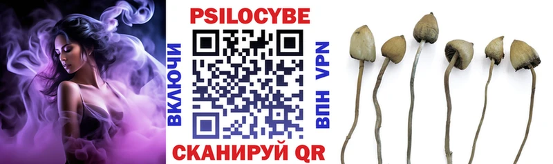 Псилоцибиновые грибы мухоморы  наркошоп  Рубцовск 